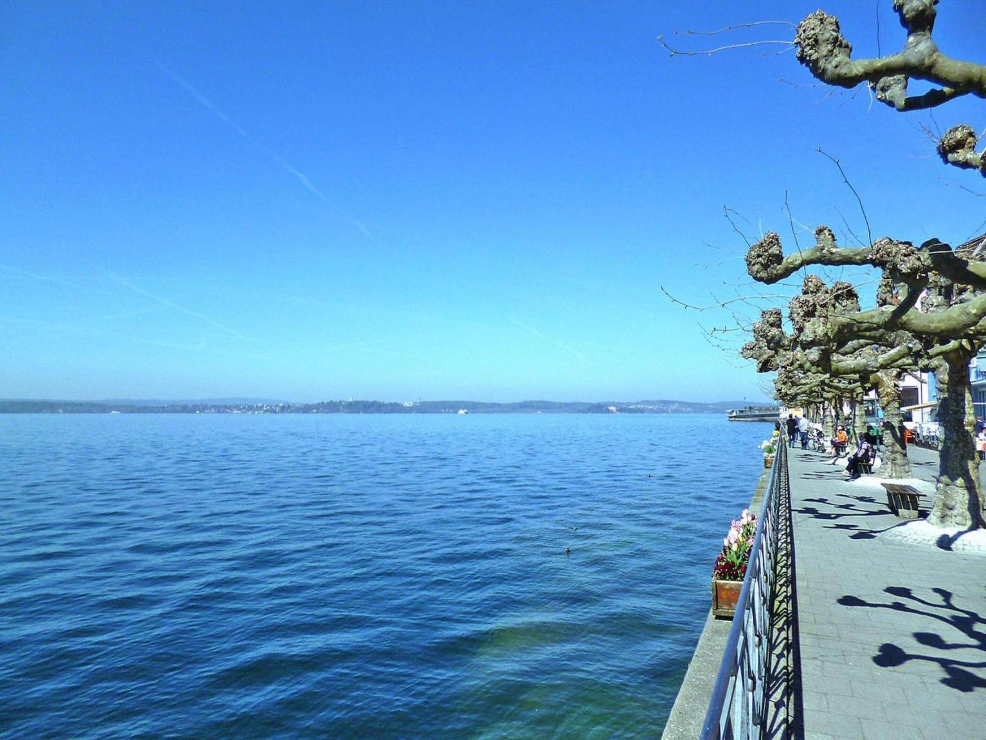 Apartment Bears, Meersburg Zewnętrze zdjęcie